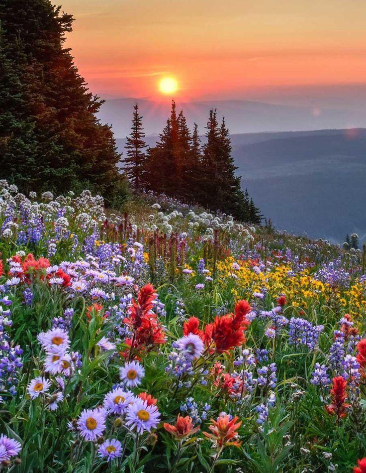 Azure Dreamscapes: The Oceanic Floral Wonders